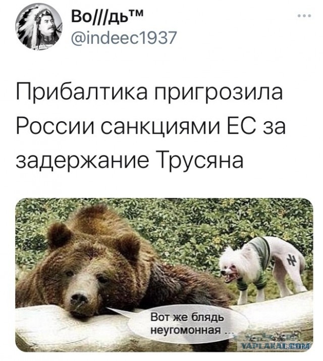 Страны Прибалтики пригрозили России санкциями ЕС за задержание Навального