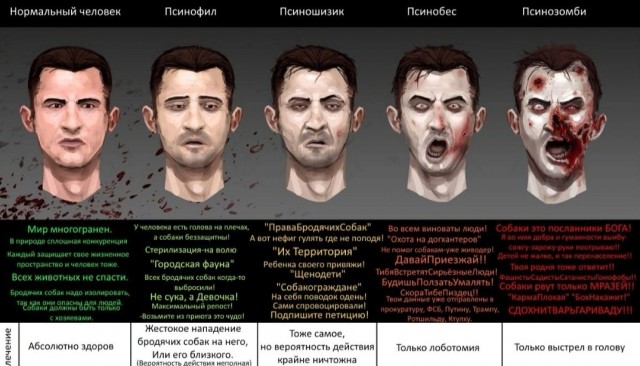 Свора собак бросилась на ребенка в Воронеже