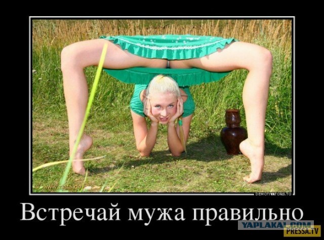 Весёлый полтишок 5.03
