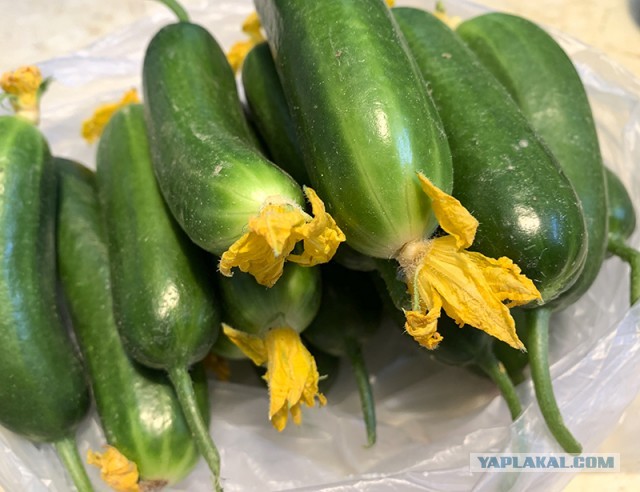 Кулинарная общалка