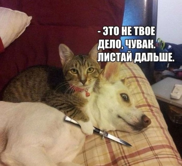 Бредзона 05.04.21
