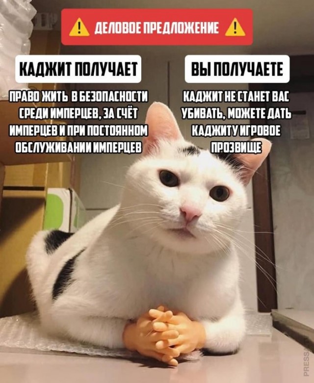 Картинки и мемы для настроения 023