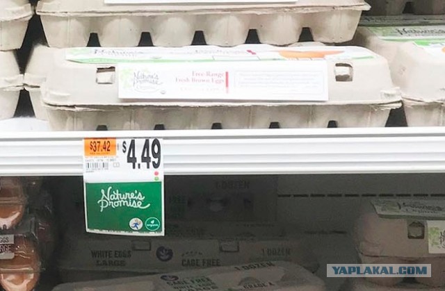 Наши покупки на 1000 рублей ($14) в пригороде Нью Йорка