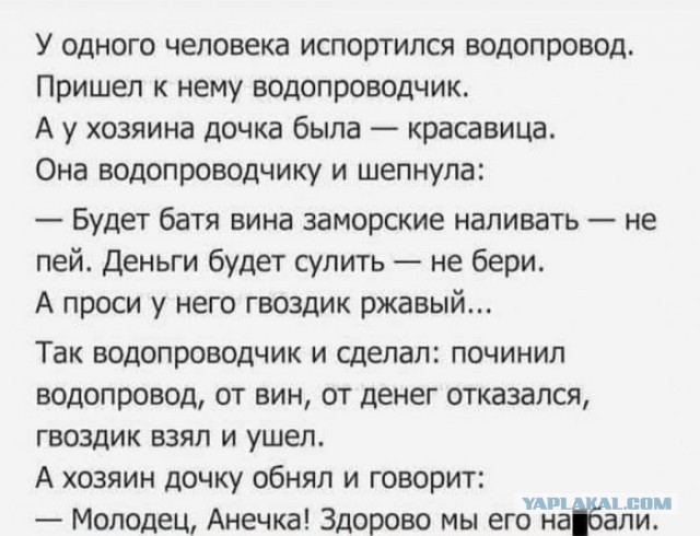 Весёлый полтишок 8.06.21