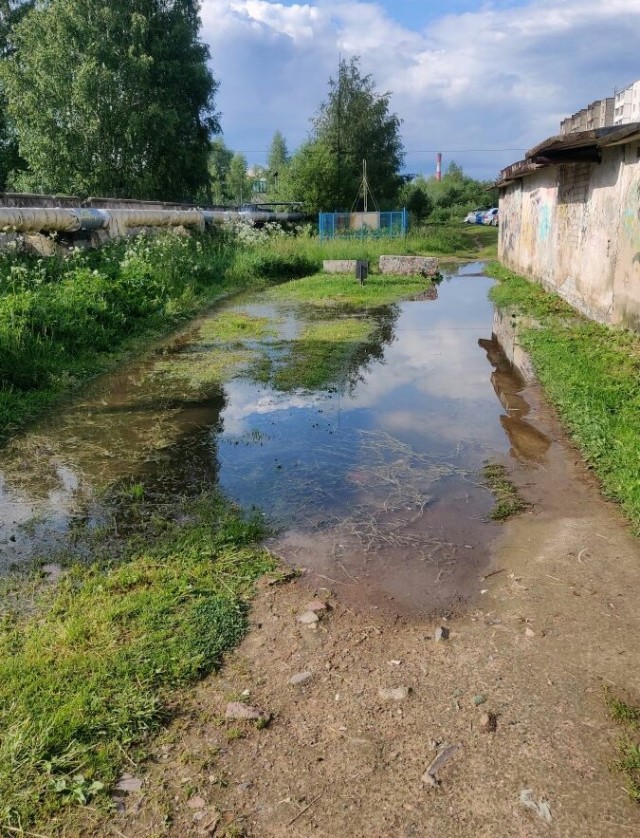 Последняя картинка в вашей Галерее/Загрузках