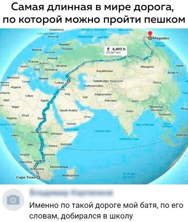 Весёлый полтишок 21.06.2021