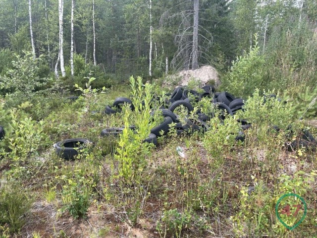Под Петербургом нашли частную подземную тюрьму с крематорием