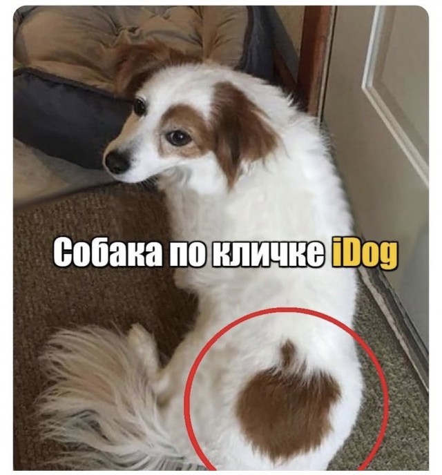Картинки и мемы для настроения