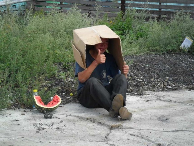 Скотсети и прочие интернеты 05.08.2021