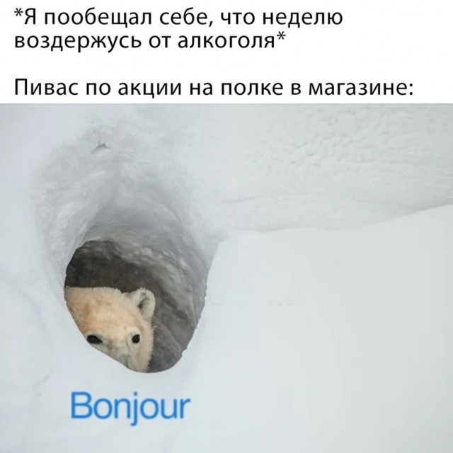 Весёлый полтишок 03.10
