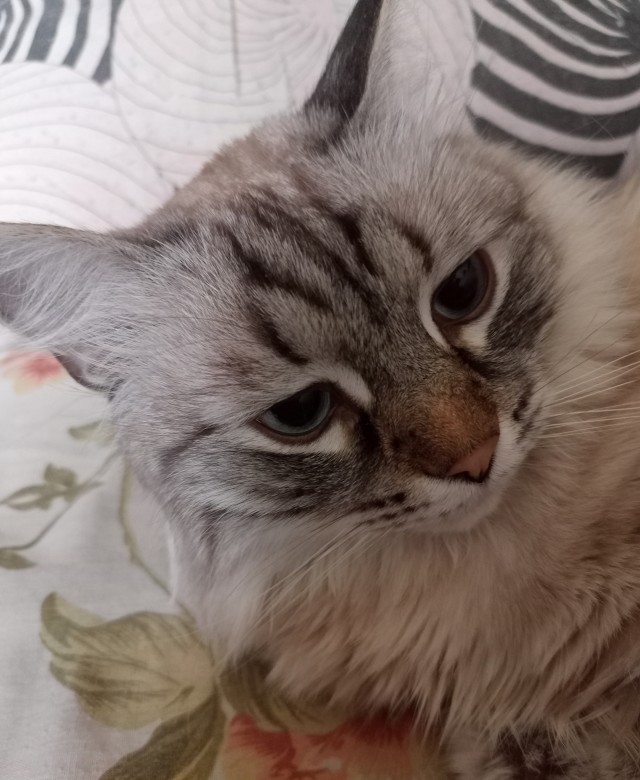 Взял погреть на ночь