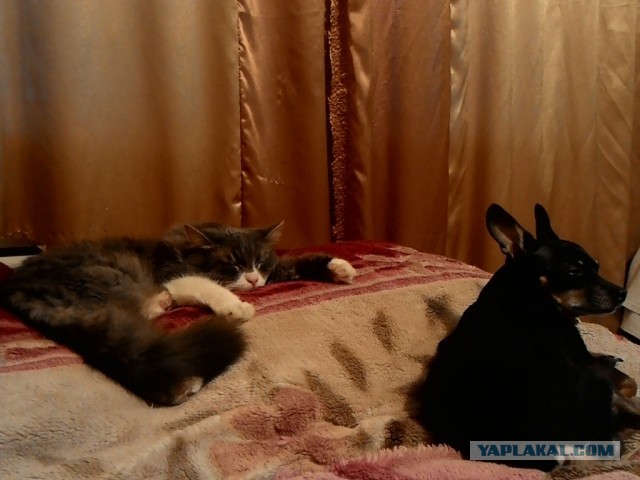 Мне бы поспать