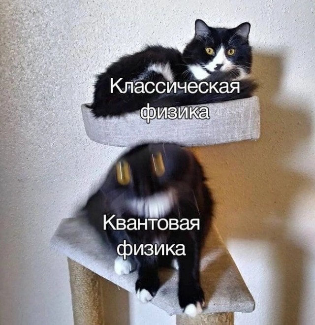 Давайте просто подеградируем над БАЯНАМИ