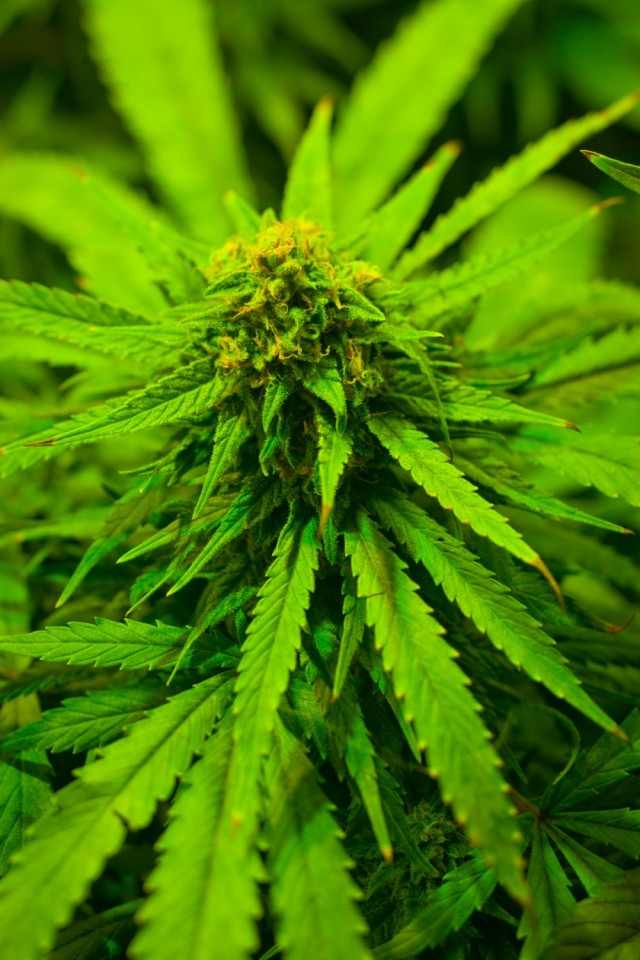 Короткие истории и случаи из жизни 26.03.22