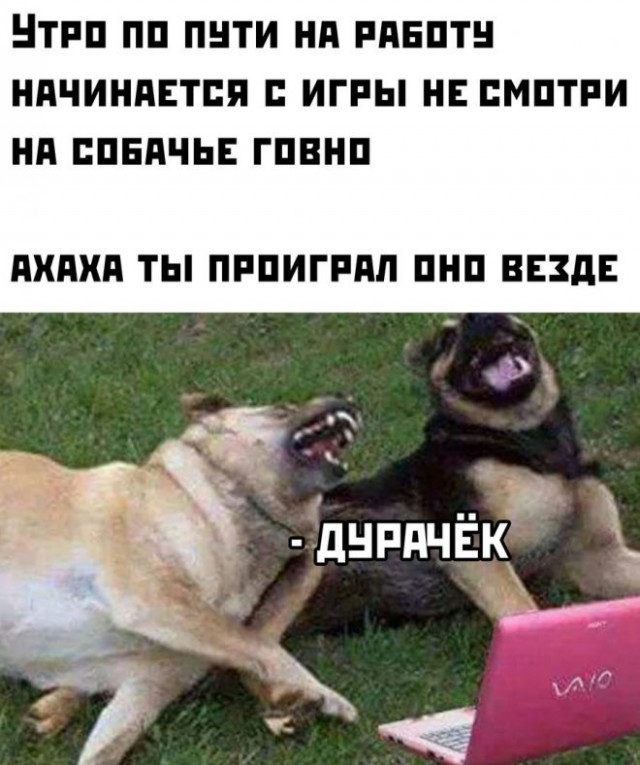 Баянисто-небаянистый юмор 28.03.22
