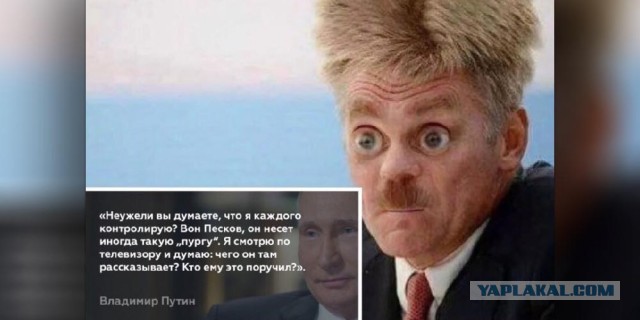 Очередная токсичная пурга от Пескова – военкоры в бешенстве