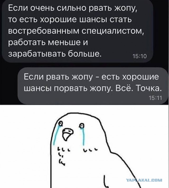 Отзывы, объявления, переписки