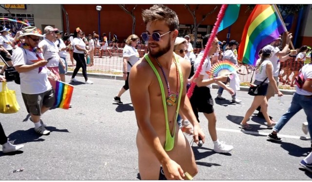 Bear day game gay mardi parade pride rodeo