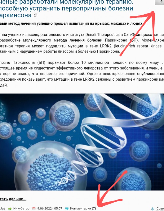 Всё больше похожи на американцев