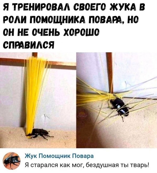 Так себе картинки 10.06.22