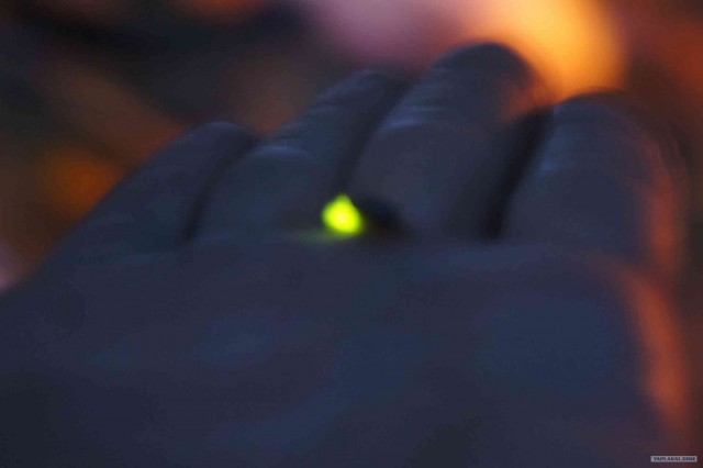 Экспедиция Тамбов-Карелия (бесов нос).