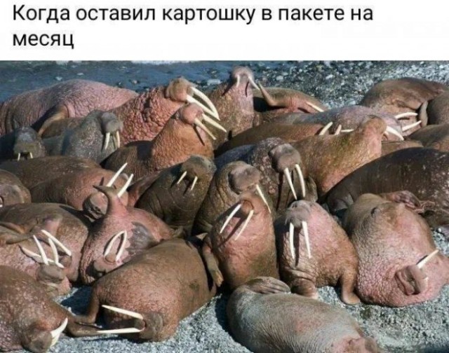 Немного картинок для настроения - 137