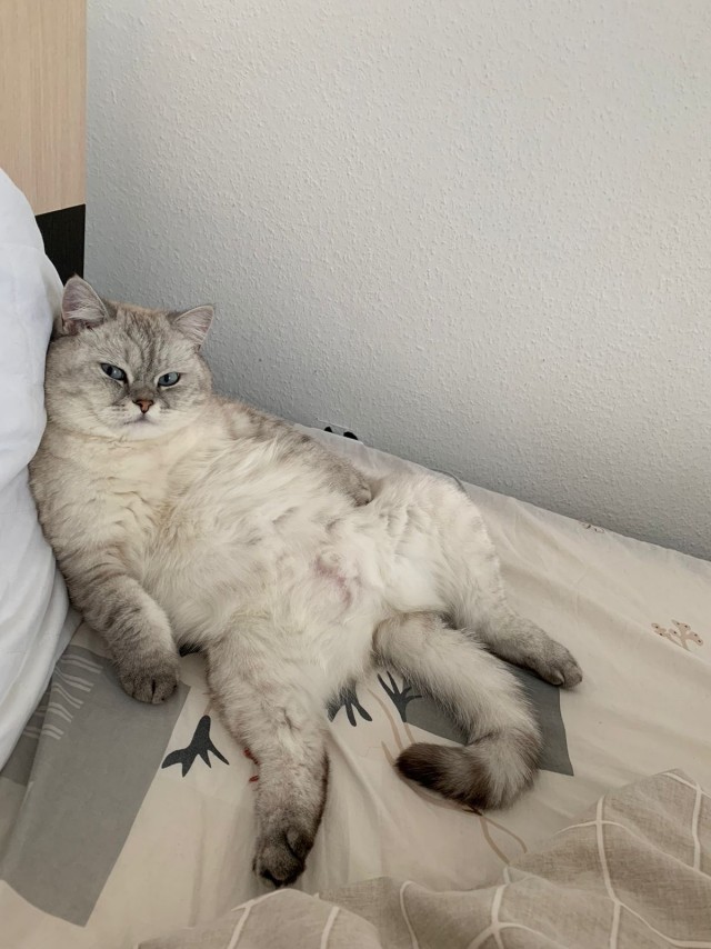 Неприемлемо