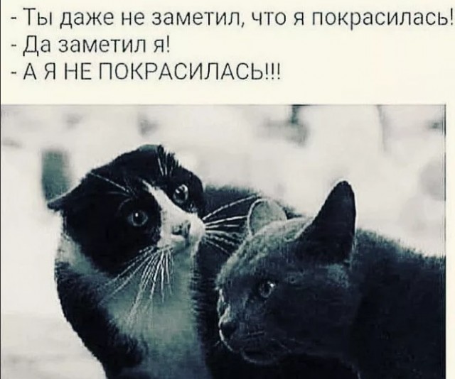 Подборка самых баянистых баянов! Ностальгируем...