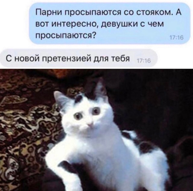 Так себе картинки 14.06.23