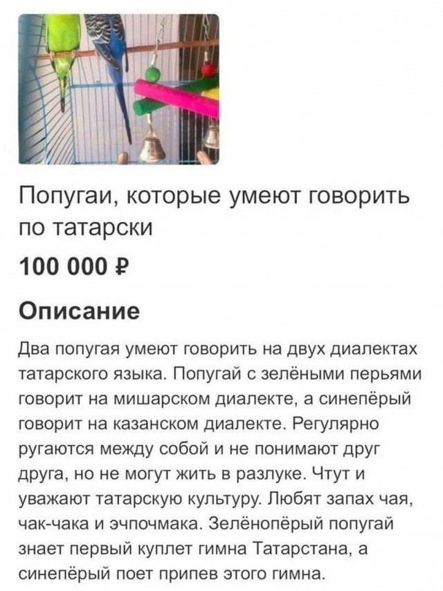 Нуштош 22.09.2023