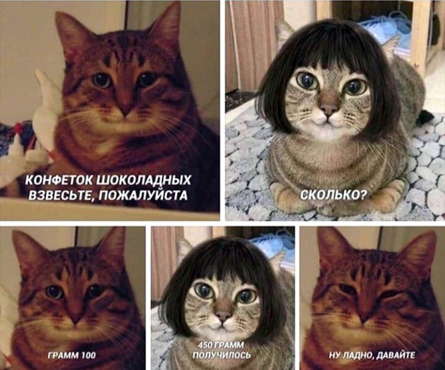 Котомемы 29.09.23