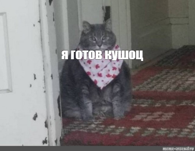 Подбухнул? Пости баяны срочно