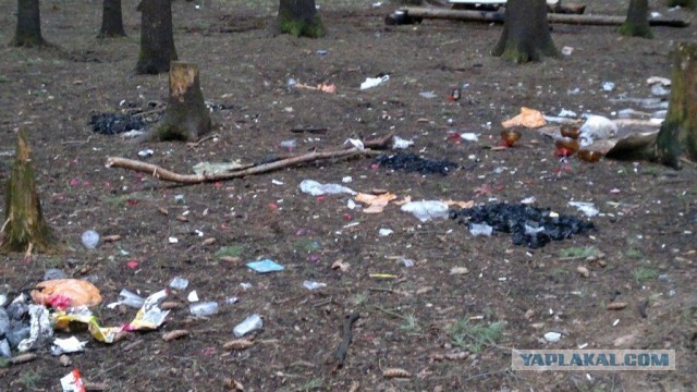 Сходил в лес