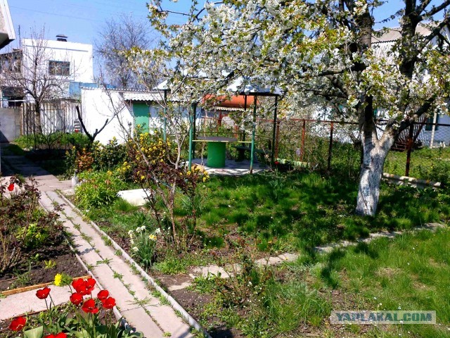 Котовторник 30.04.2013