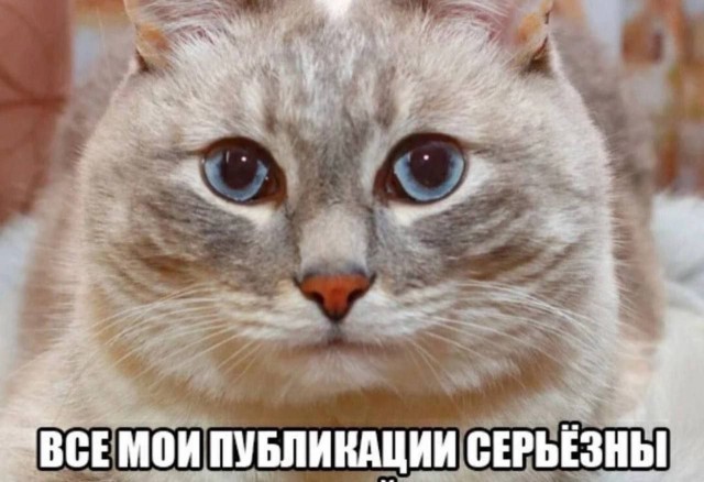 Всего понемногу. От 14.01