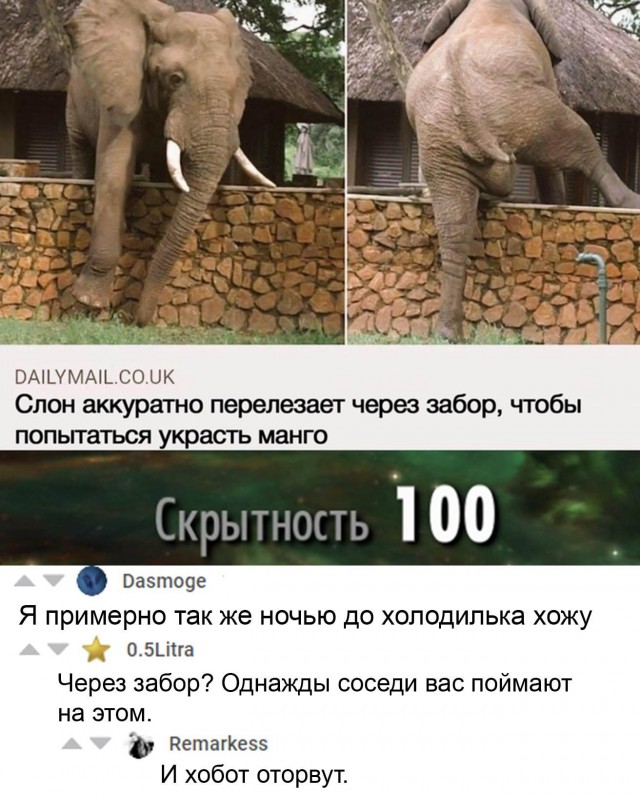 Прикольные комменты и картинки