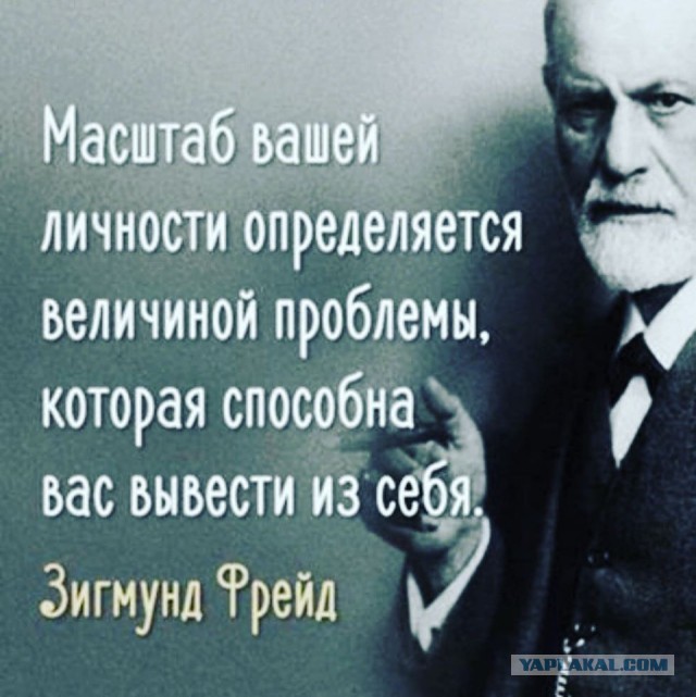 Про животноводов-засранцев