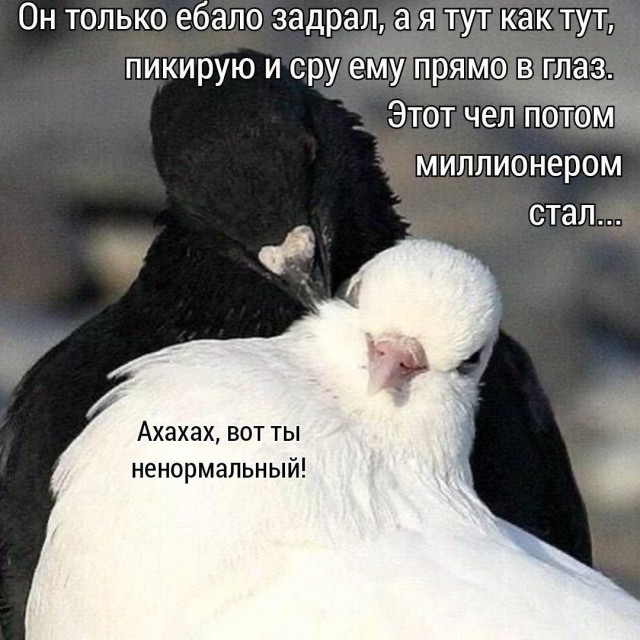 Всего понемногу. От 02.04.24