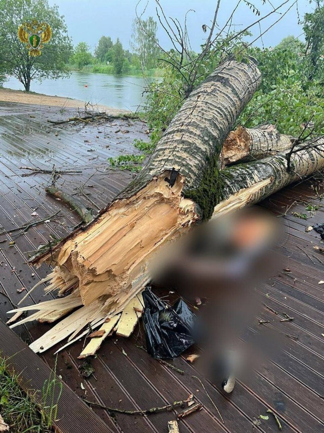 Москву снова затопило. Деревья повалило. В небе молнии
