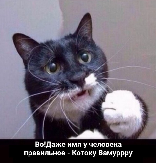 Сначала смеялись, потом стало не смешно