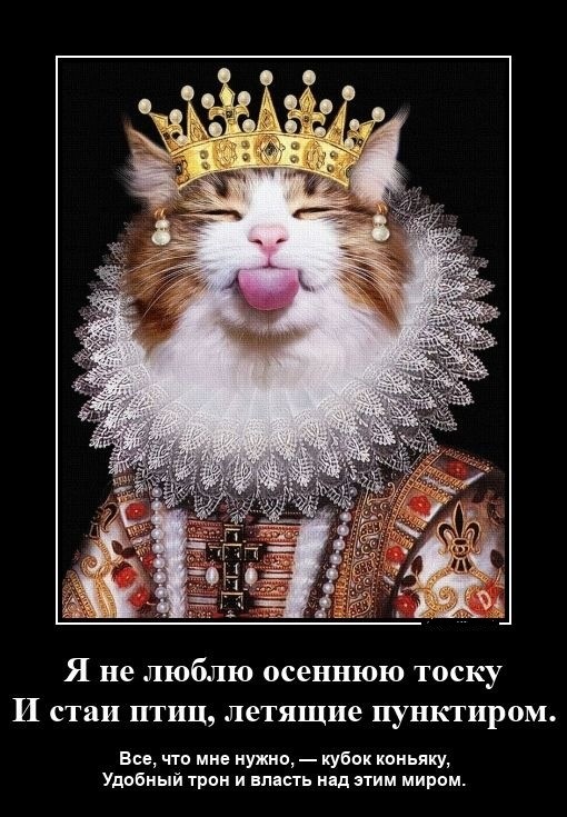 Так себе картинки 08.10.24