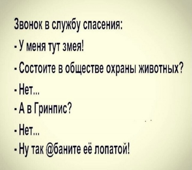Так себе картинки 26.11.24
