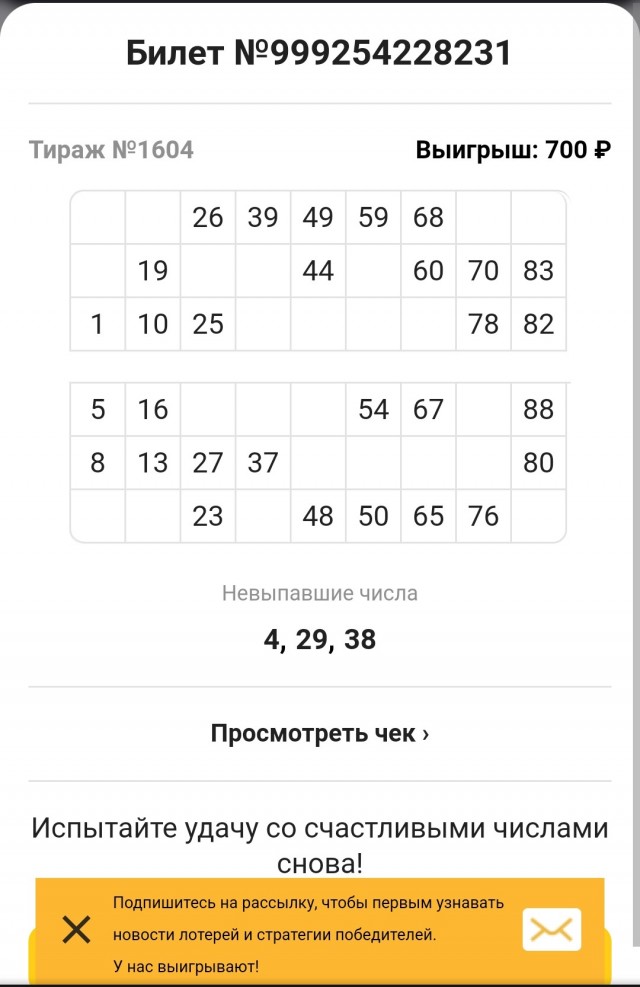 Чудо в Новый год!