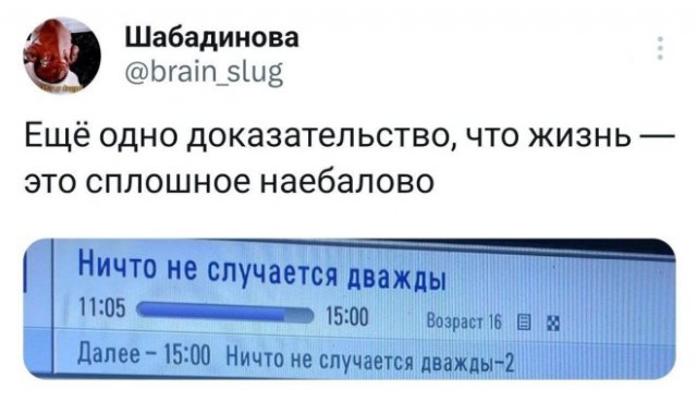 Веселые картинки в маленькую пятницу (12.02)