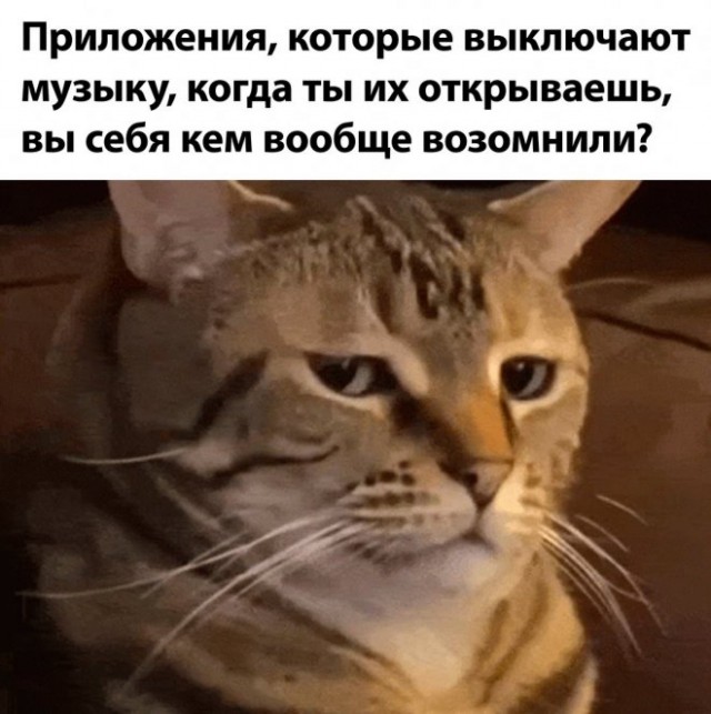 Веселые картинки в маленькую пятницу (02.04)