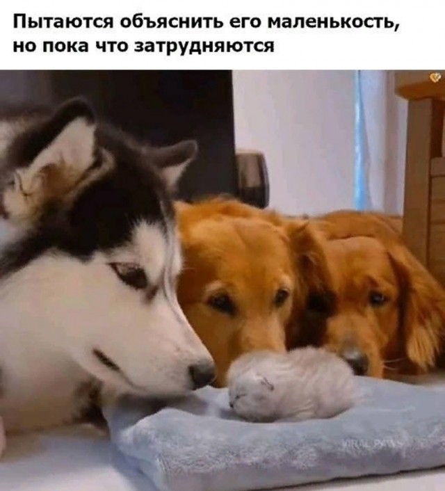 Так себе картинки 17.06.25