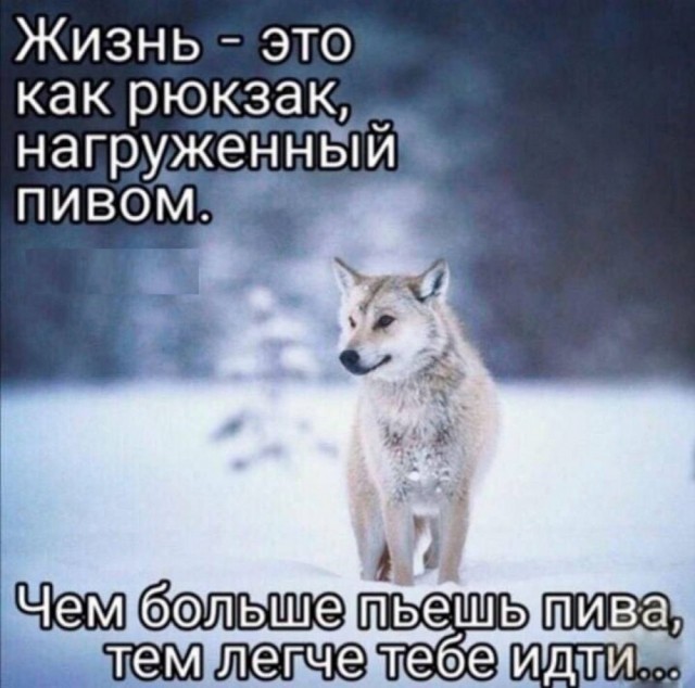 Веселое настроение в картинках (04.08.2025)