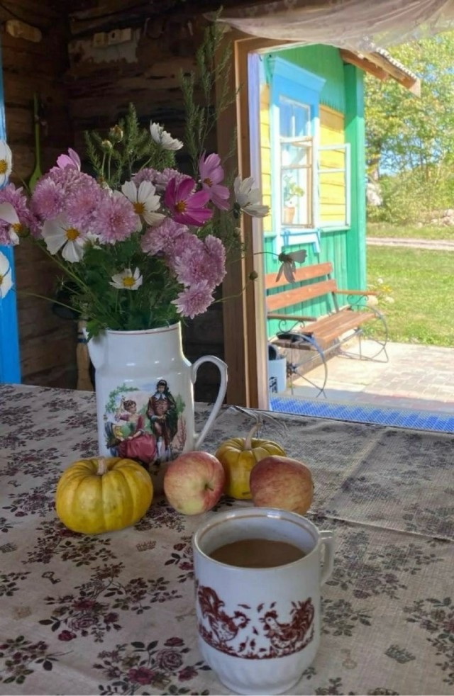 Прикольные и просто красивые картинки 12.08.2025