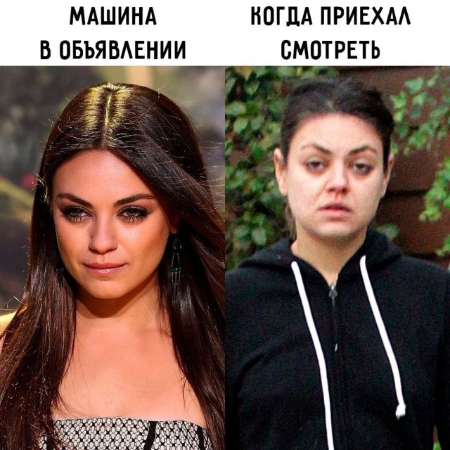 Веселые картинки в пятницу (15.08)