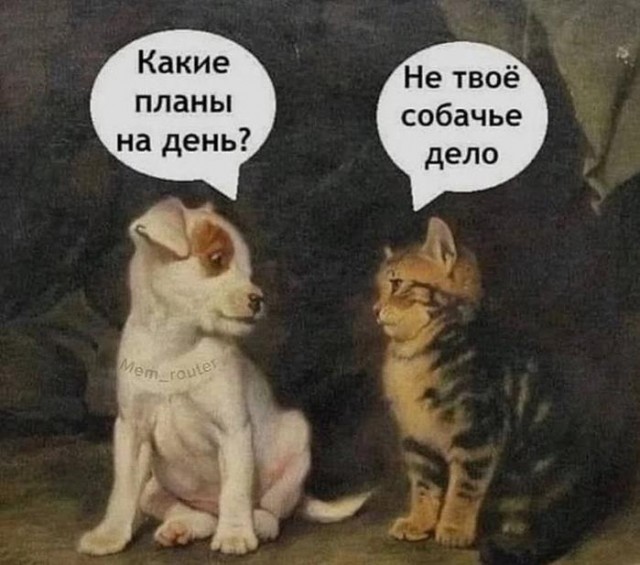 Картинки для деградации 36 (разной степени свежести)